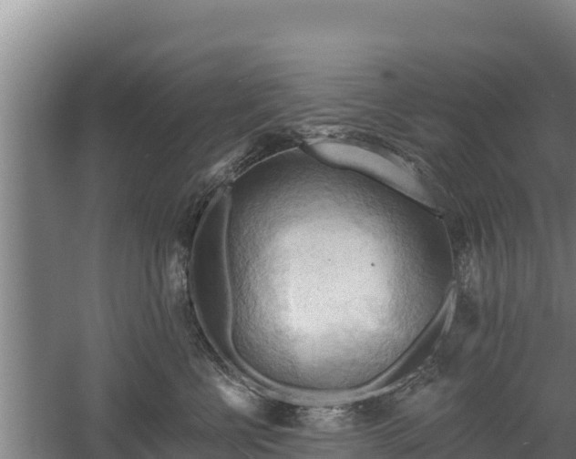 X0000060560570200511101606