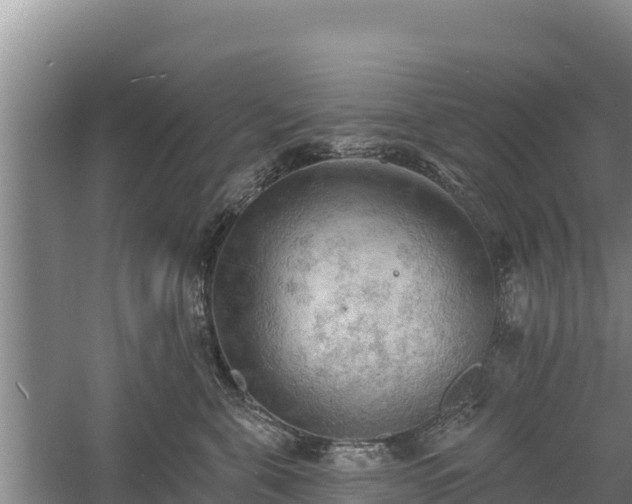 X0000060560571200511101606