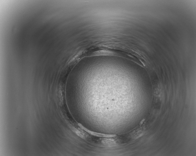 X0000060560572200511101606