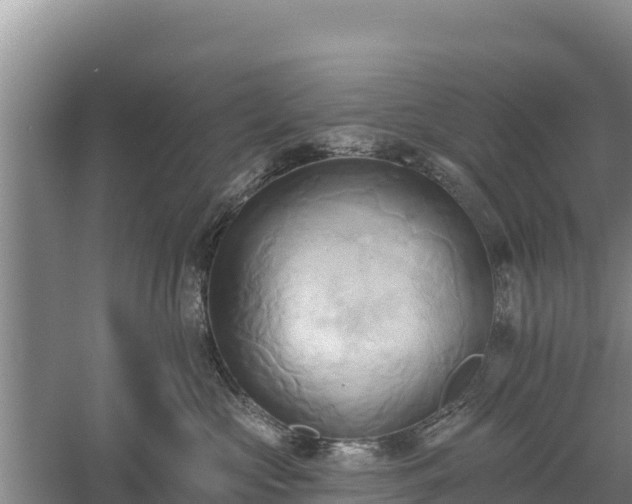 X0000060560573200511101606