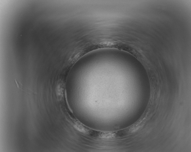 X0000060560576200511101606