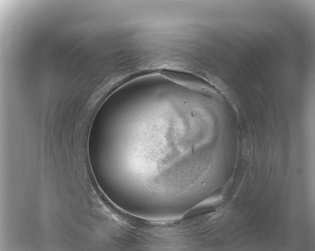 X0000060560577200511101606