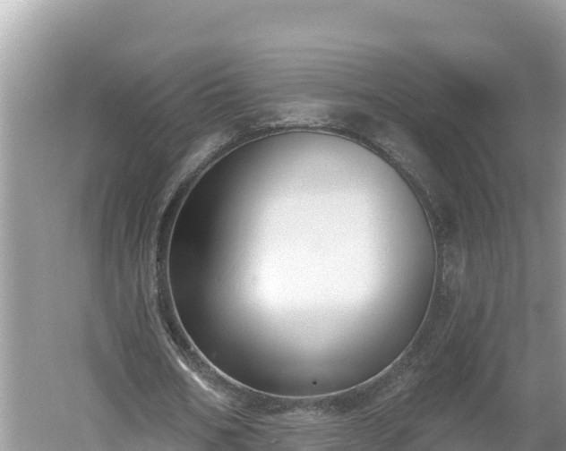 X0000060560578200511101606