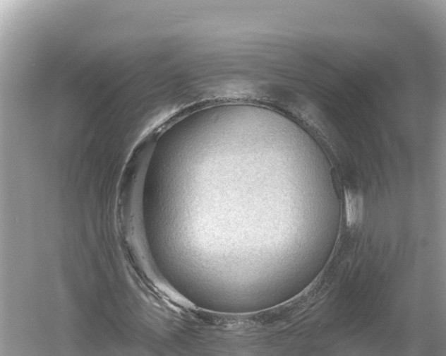 X0000060560579200511101606