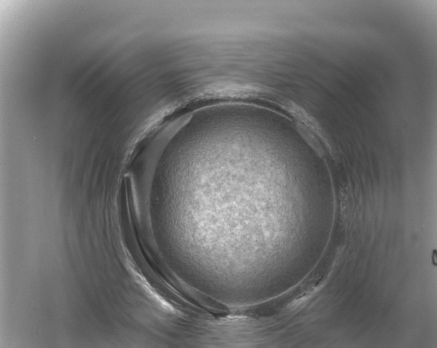 X0000060560581200511101606