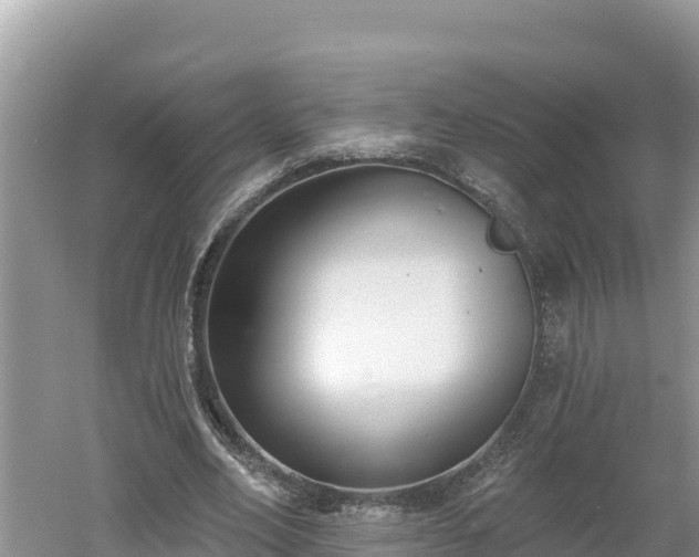 X0000060560582200511101606