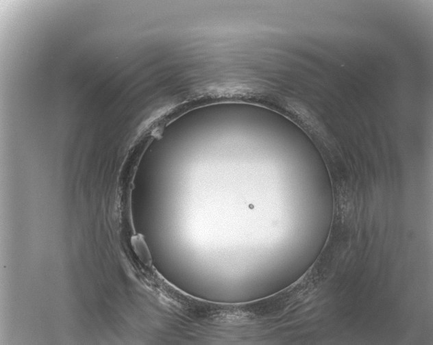 X0000060560583200511101606