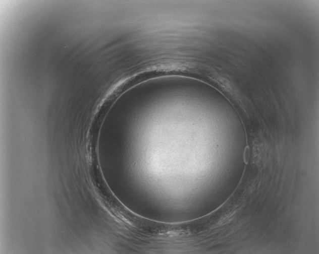 X0000060560584200511101606