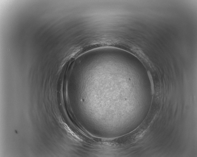 X0000060560585200511101605