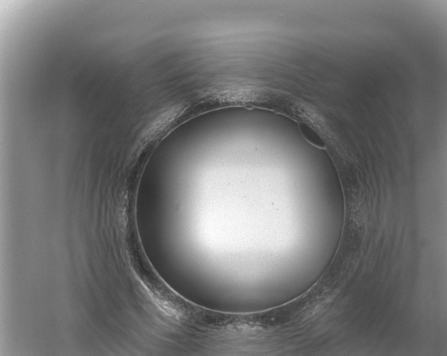 X0000060560586200511101605