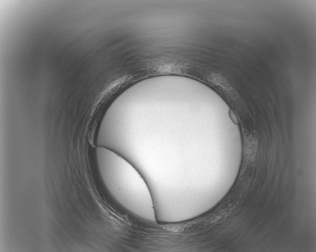 X0000060560587200511101605