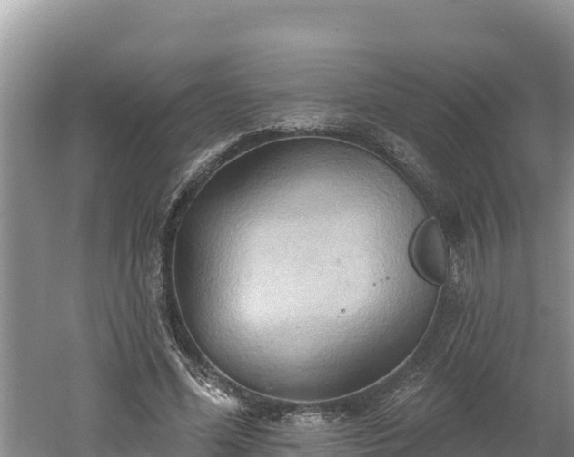 X0000060560588200511101605