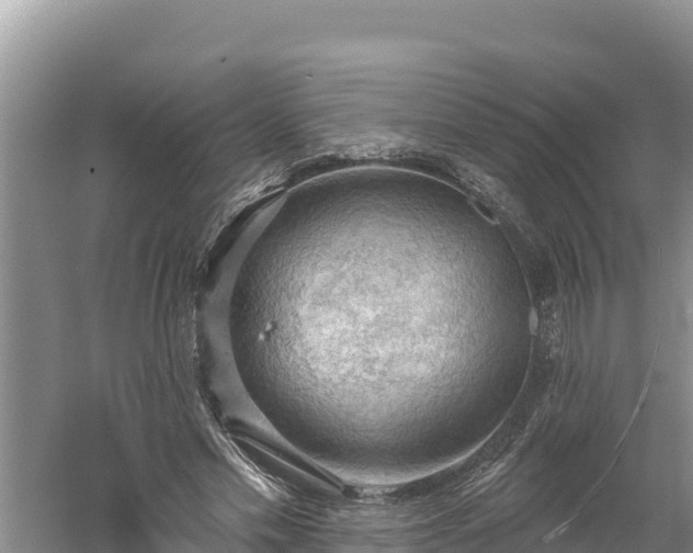 X0000060560589200511101605