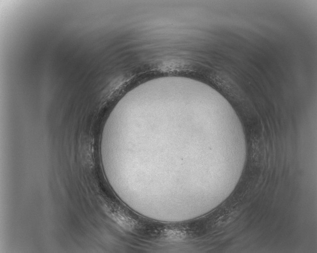 X0000060560592200511101605