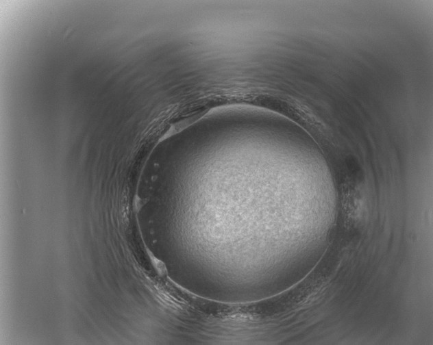 X0000060560593200511101605