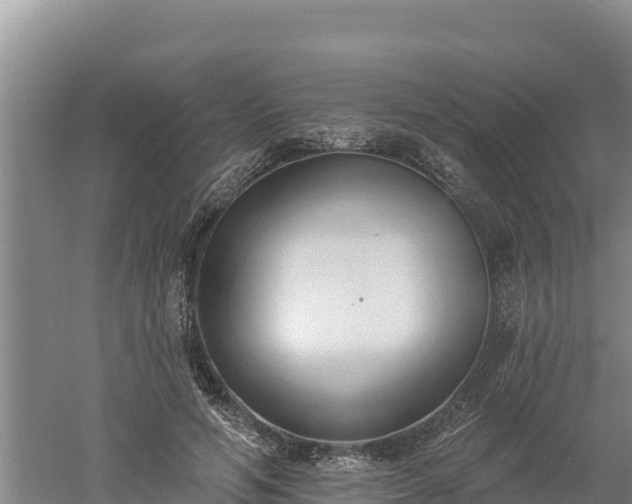 X0000060560594200511101605