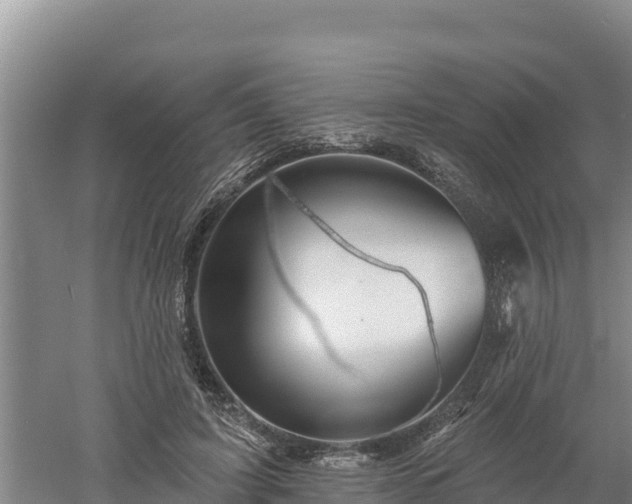 X0000060560595200511101605