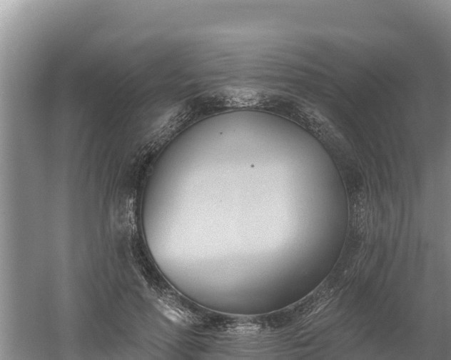 X0000060560598200511101605