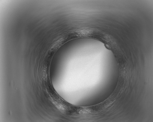 X0000060560599200511101605