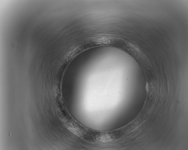 X0000060560600200511101605