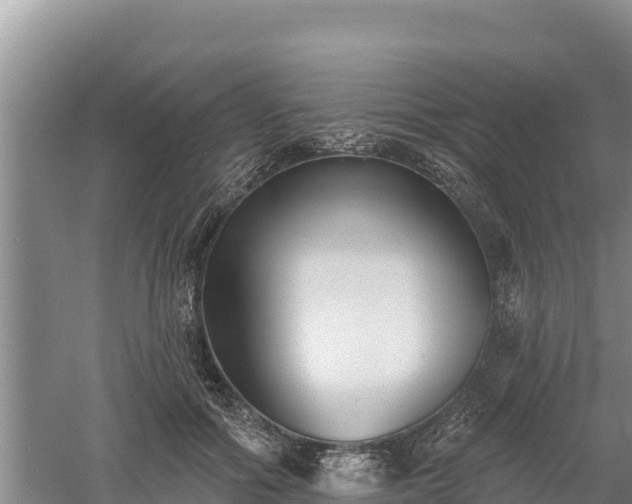 X0000060560602200511101605