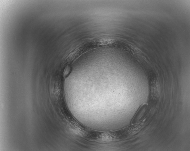 X0000060560608200511101605