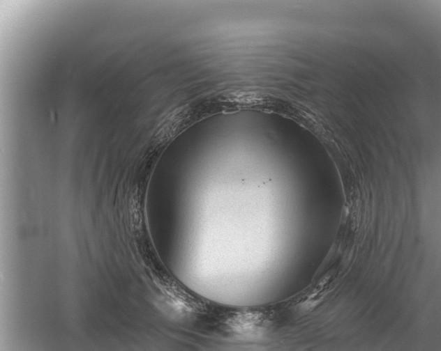 X0000060560609200511101605