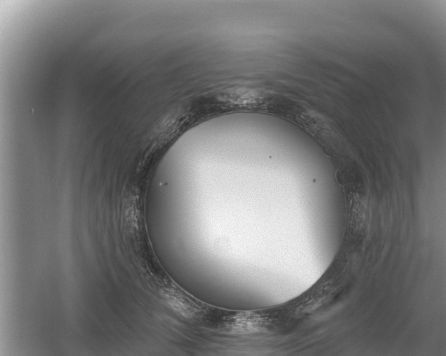 X0000060560612200511101605