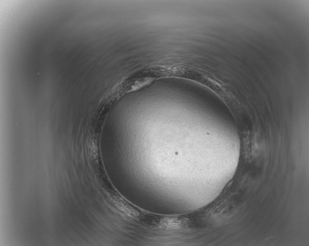 X0000060560613200511101605