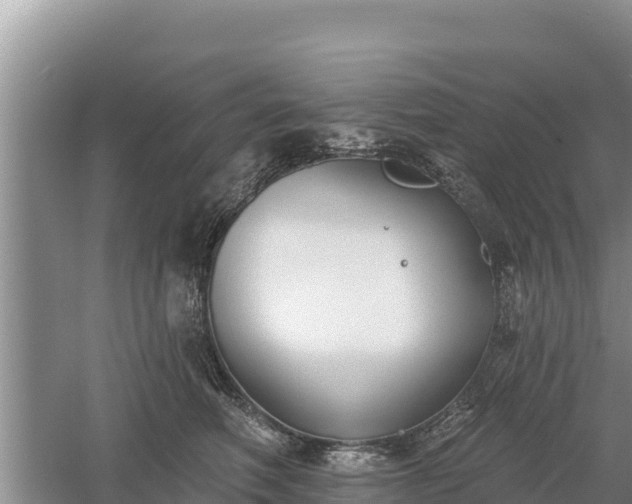 X0000060560614200511101605