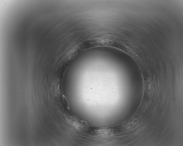 X0000060560615200511101605