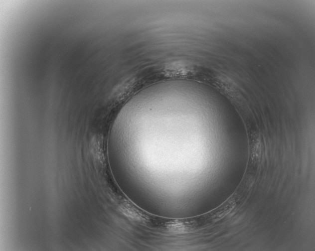 X0000060560616200511101605