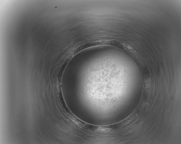 X0000060560617200511101605