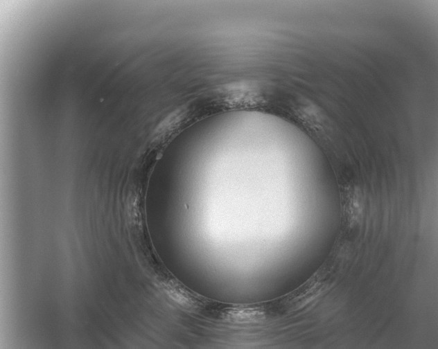 X0000060560619200511101605