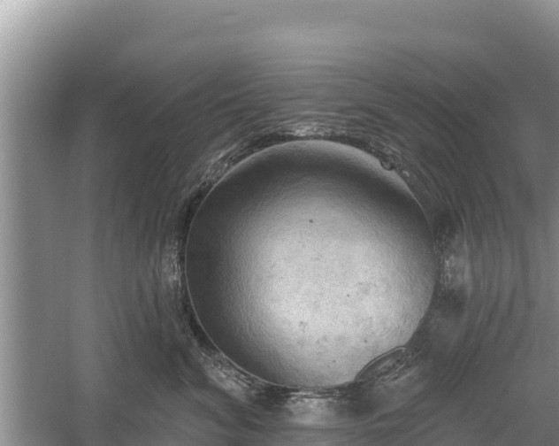 X0000060560620200511101605