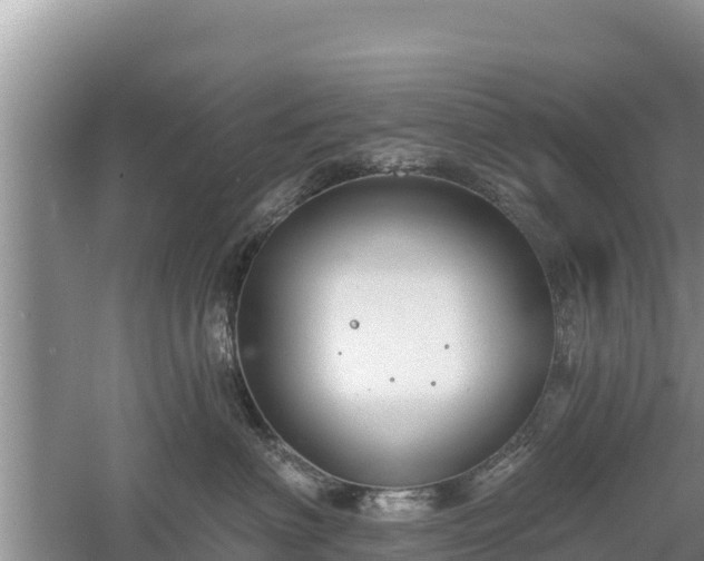 X0000060560622200511101605