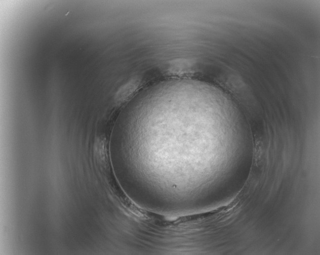 X0000060560623200511101605