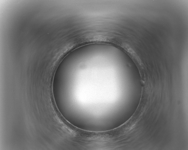 X0000060560625200511101604