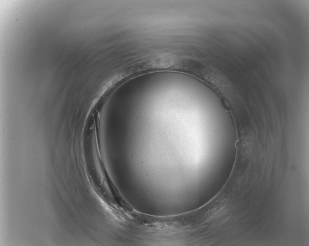 X0000060560626200511101604