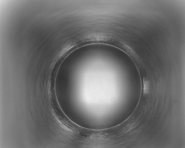 X0000060560627200511101604