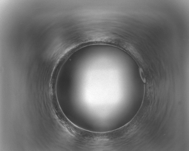 X0000060560628200511101604