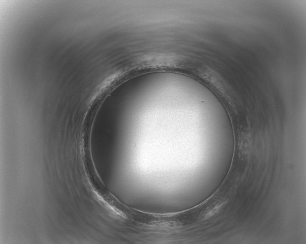 X0000060560629200511101604