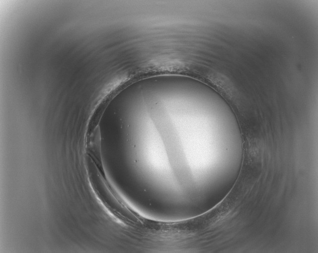 X0000060560630200511101604