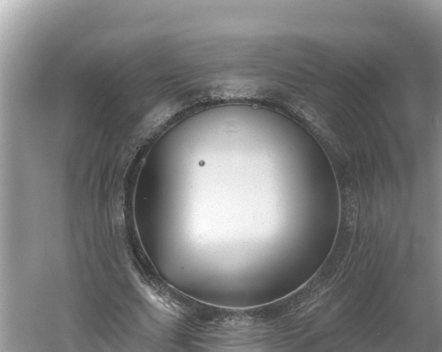 X0000060560631200511101604