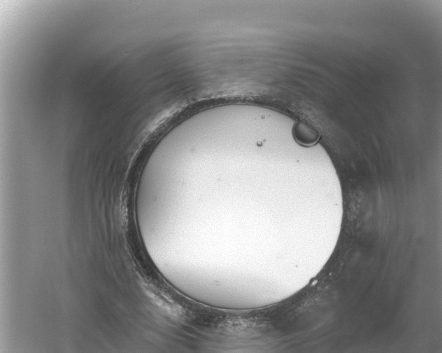 X0000060560632200511101604