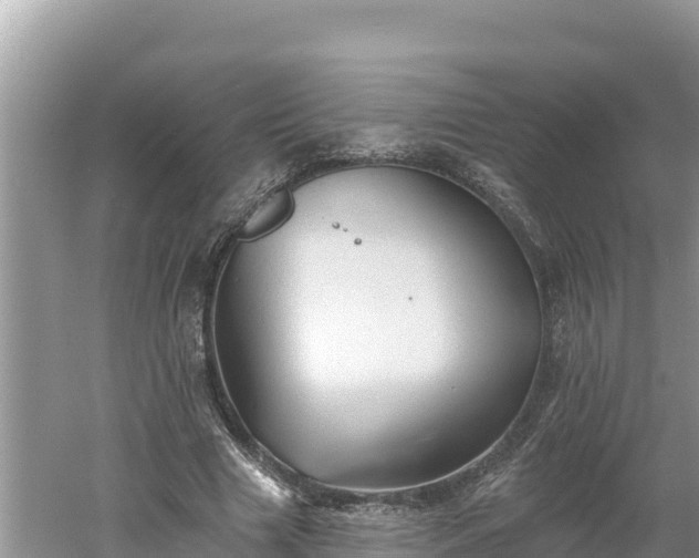 X0000060560633200511101604