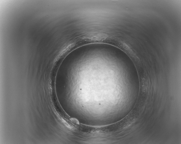 X0000060560634200511101604