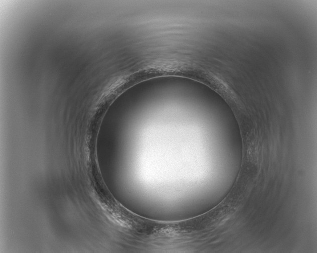 X0000060560635200511101604