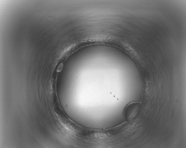 X0000060560636200511101604