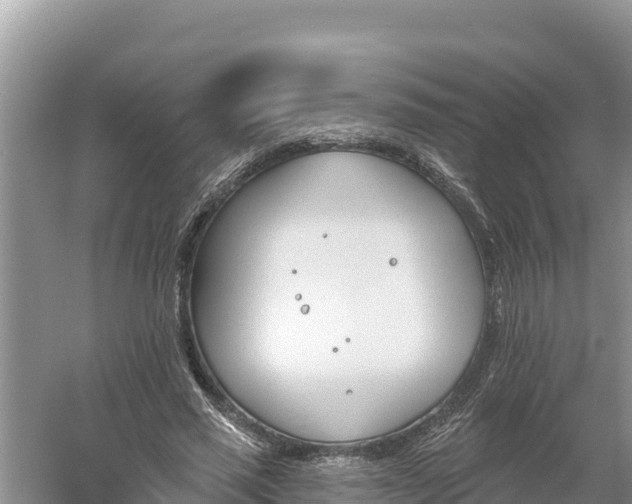 X0000060560637200511101604